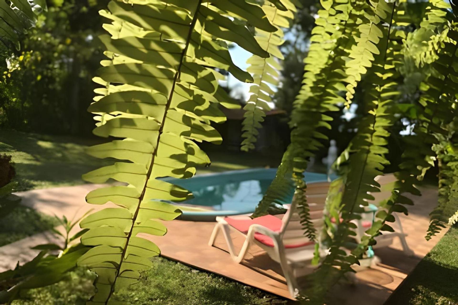 Cabanas Con Piscina En La Entrada De Oberá المظهر الخارجي الصورة