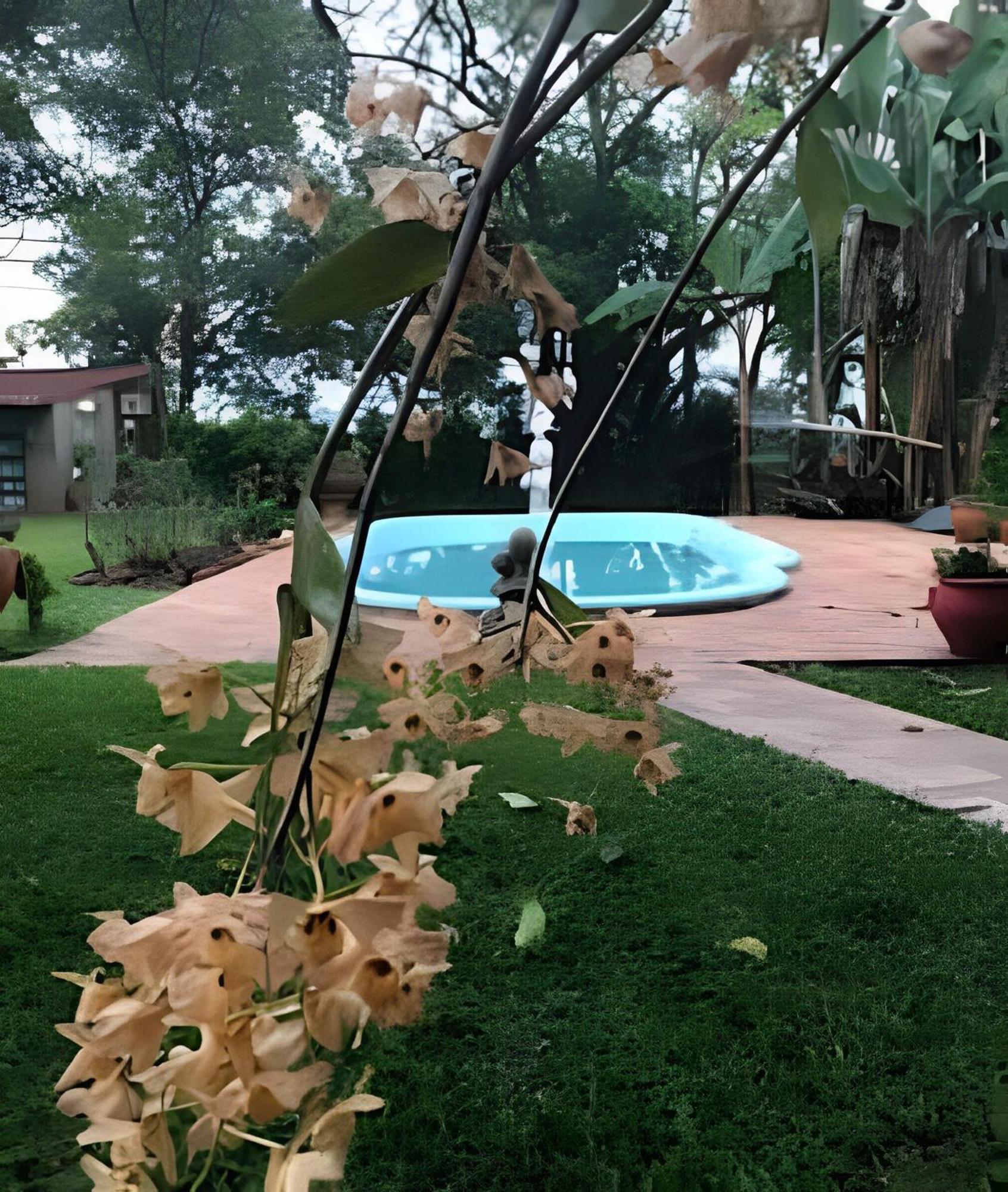 Cabanas Con Piscina En La Entrada De Oberá المظهر الخارجي الصورة